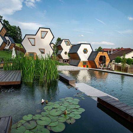 Apartments Beeland Skok Mozirje Exteriör bild